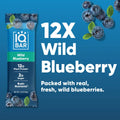 IQBAR Wild Blueberry Keto Protein Bar